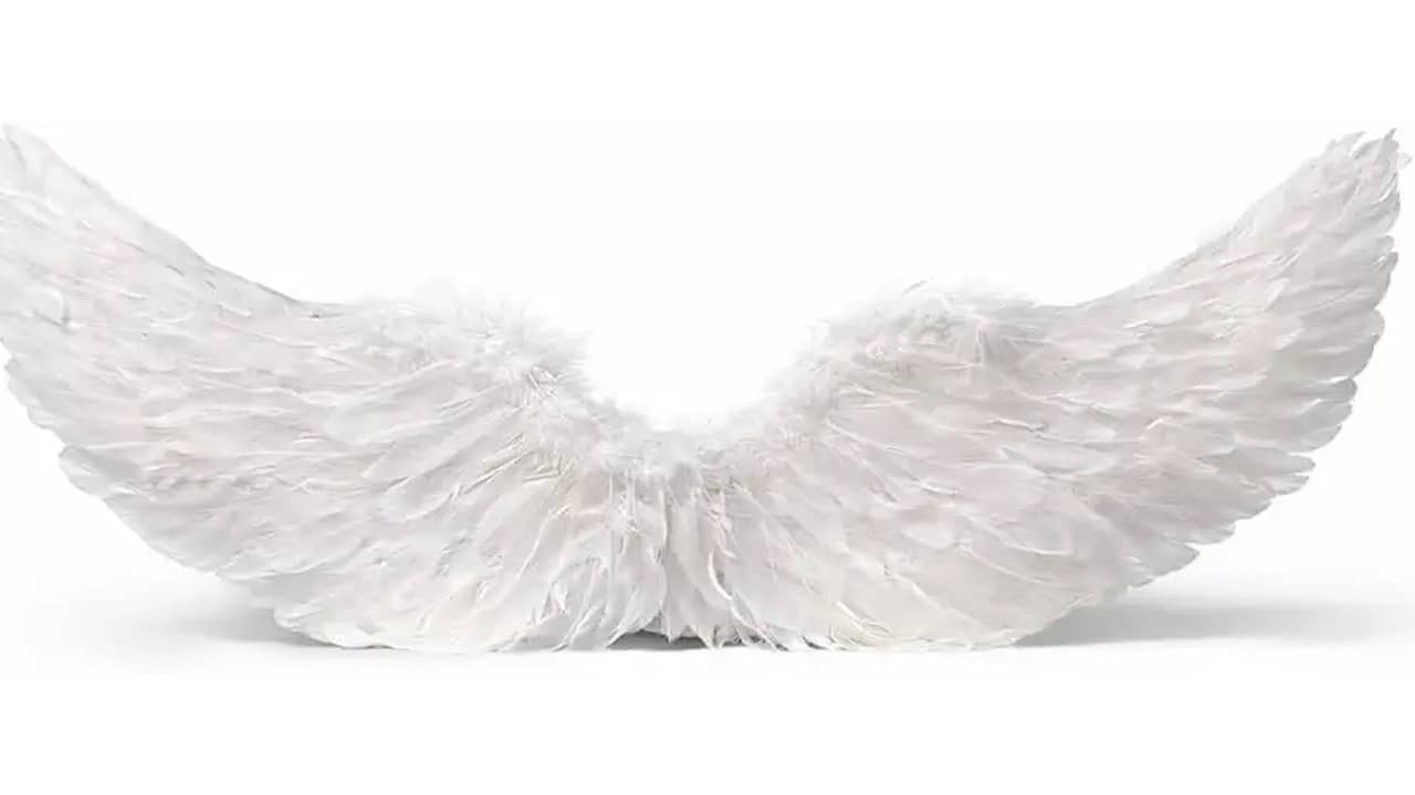 Asa de Anjo de Penas: As 10 Melhores Opções para Fantasia e Cosplay
