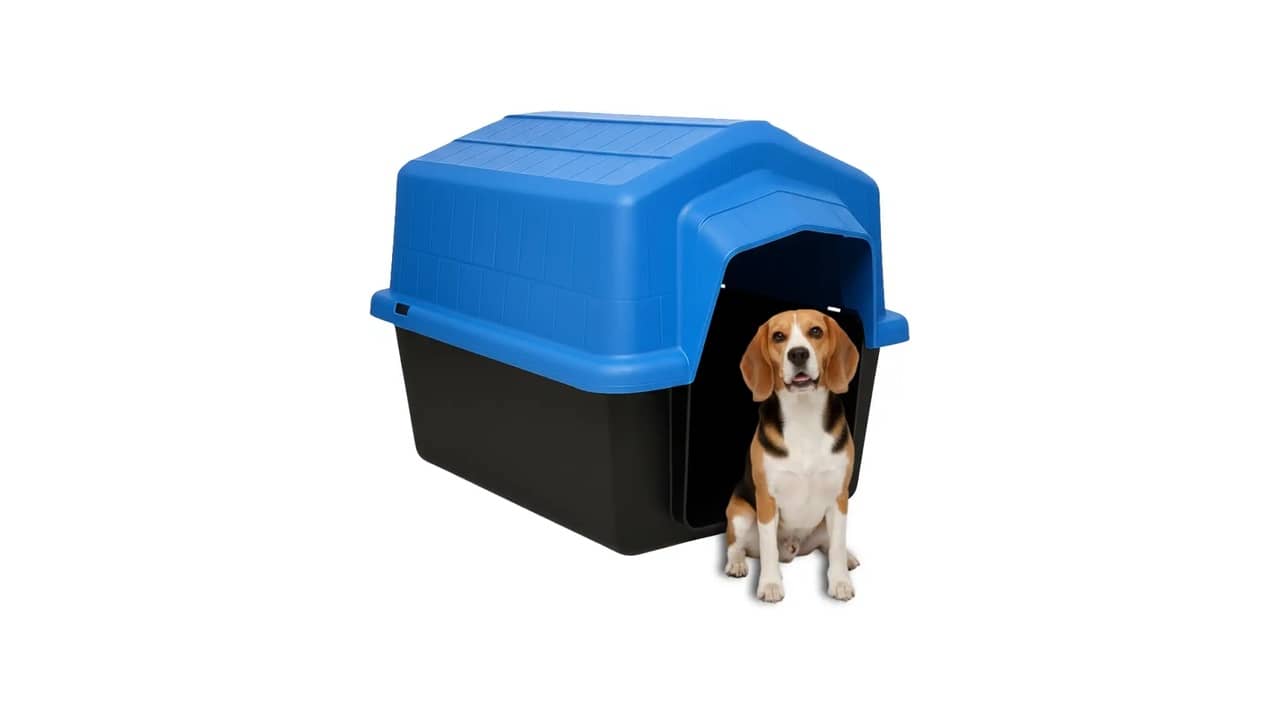 Casinha de Cachorro para Área Externa: As 10 Melhores Opções Resistentes ao Clima