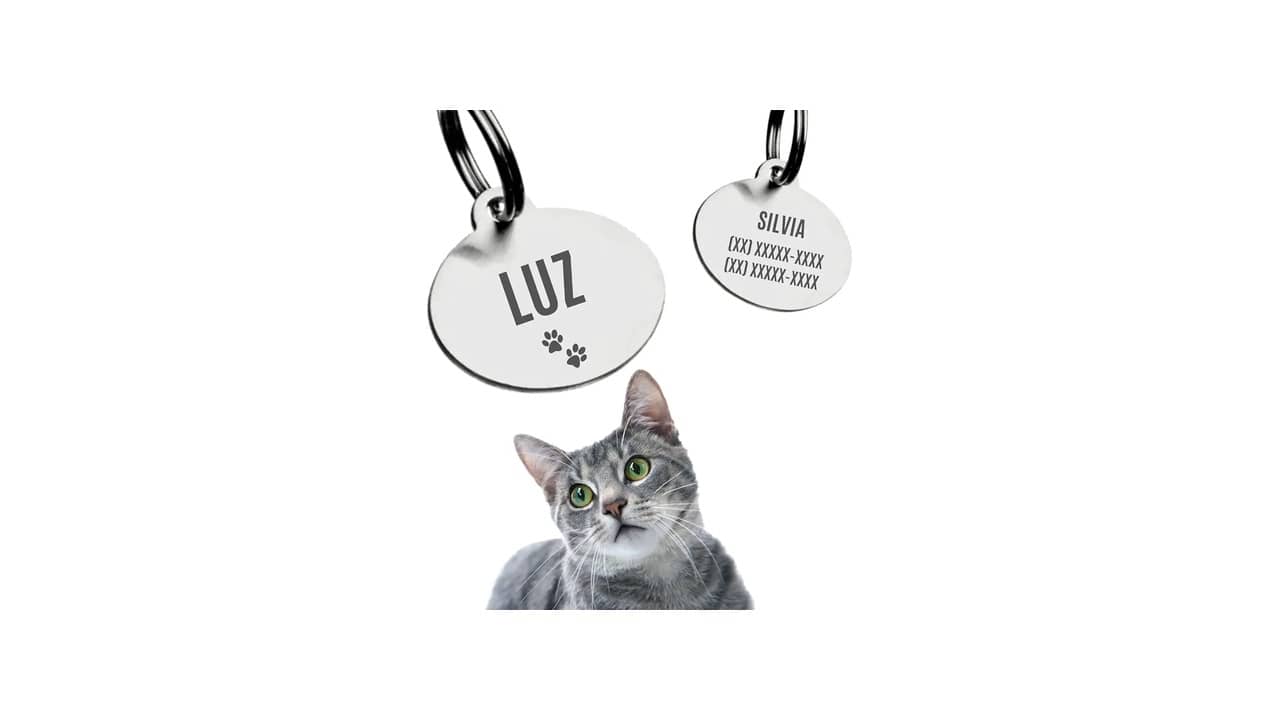 Coleira com Plaquinha de Identificação Personalizada: A Escolha Certa para Segurança do Seu Pet