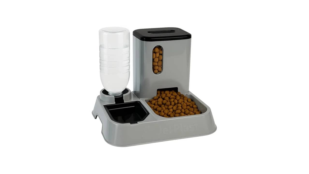Comedouro Automático para Cães e Gatos: A Melhor Opção Inteligente