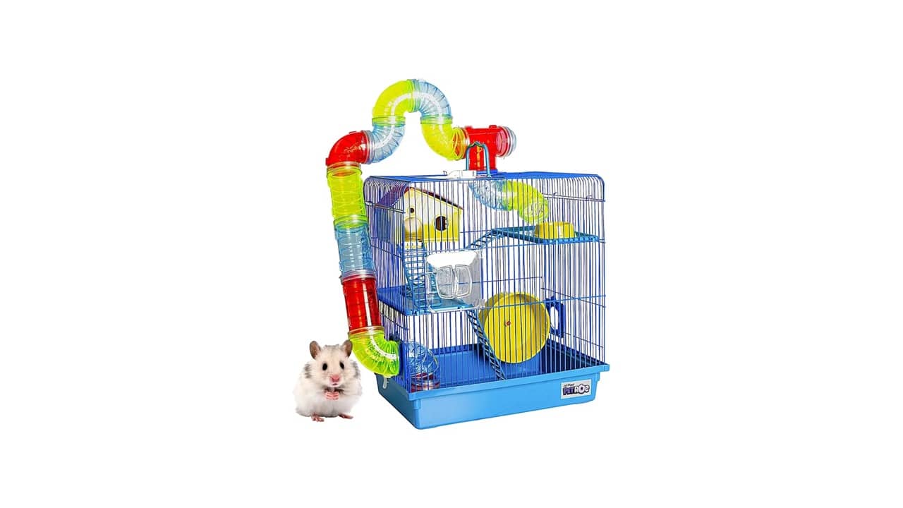 Gaiola Hamster: As 10 Melhores para Seu Pet