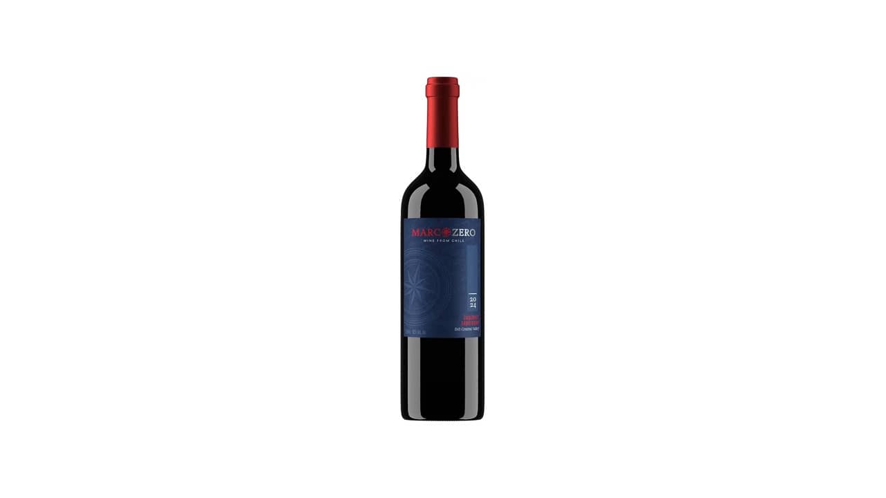 Marca de Vinho Chileno: As 10 Melhores Opções do Mercado