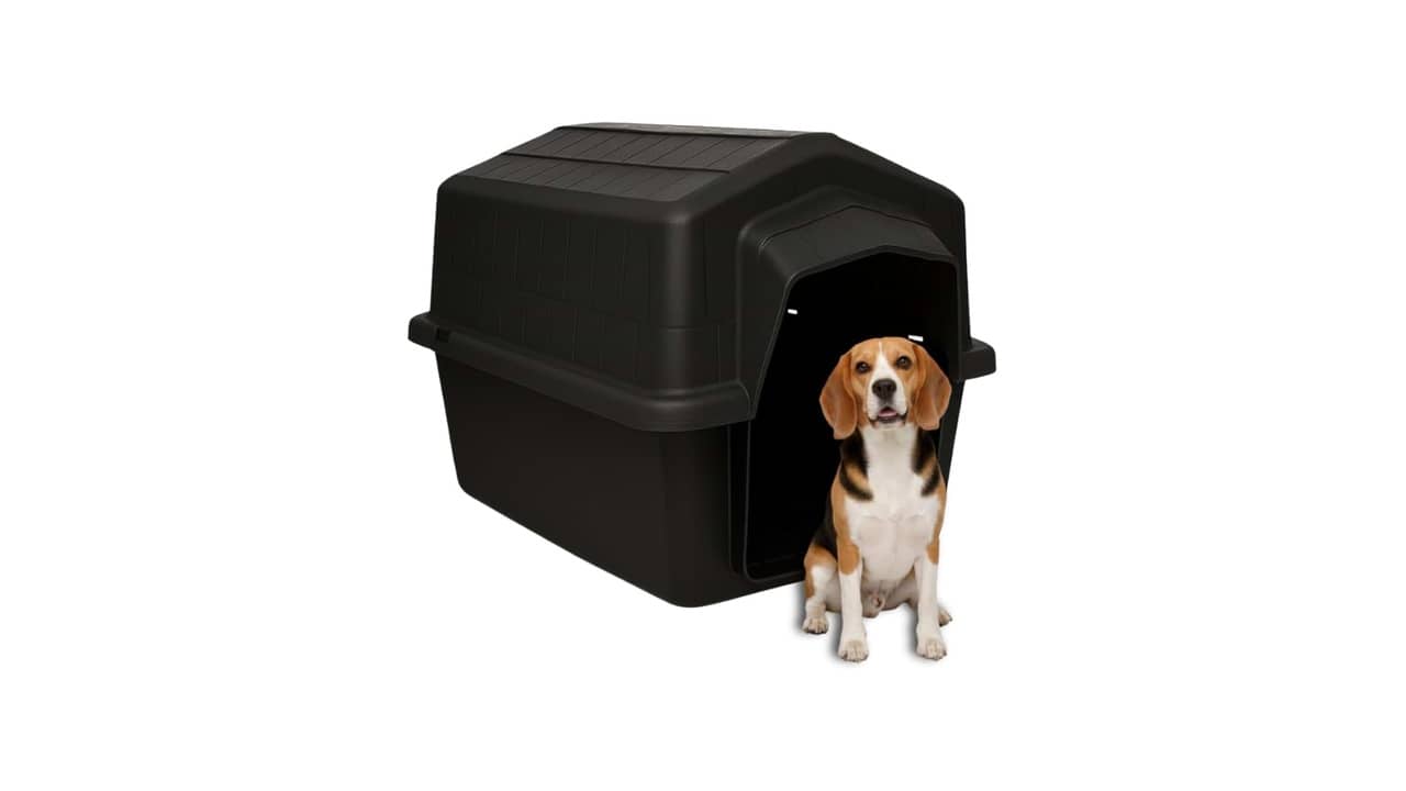 Casinha para Cachorro Grande: As Melhores Opções Resistentes e Protegidas