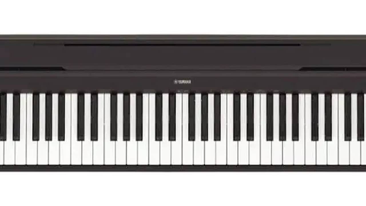 Piano Digital 88 Teclas Pesadas: As Melhores Opções Premium