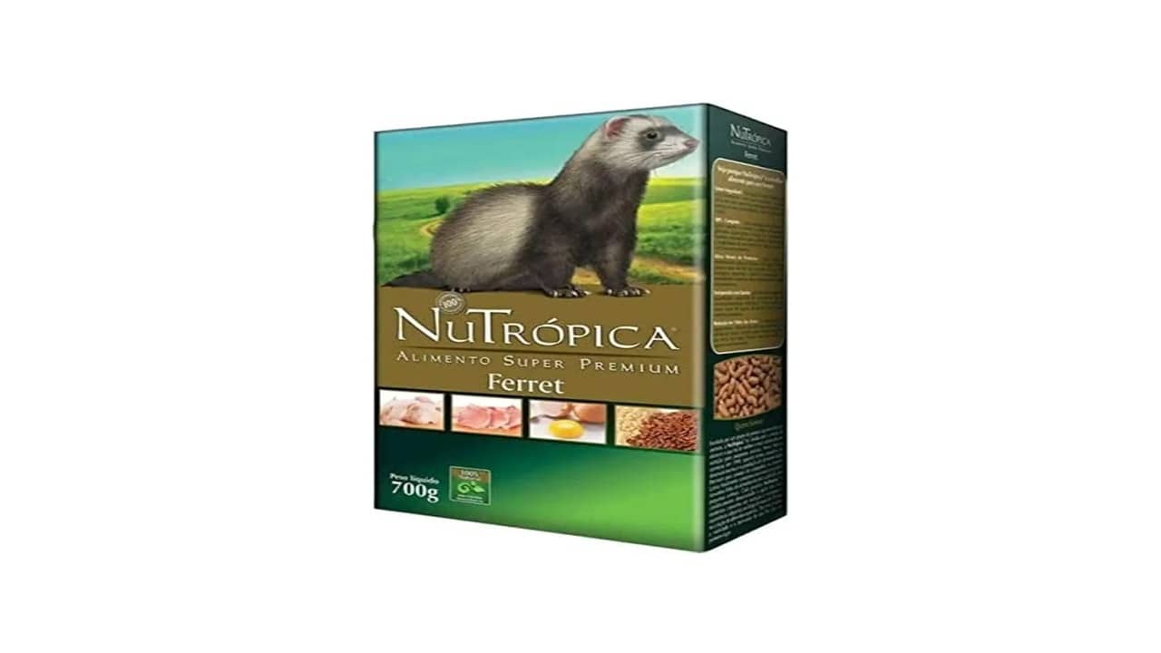Ração para Furão: As 5 Melhores Opções para Seu Pet