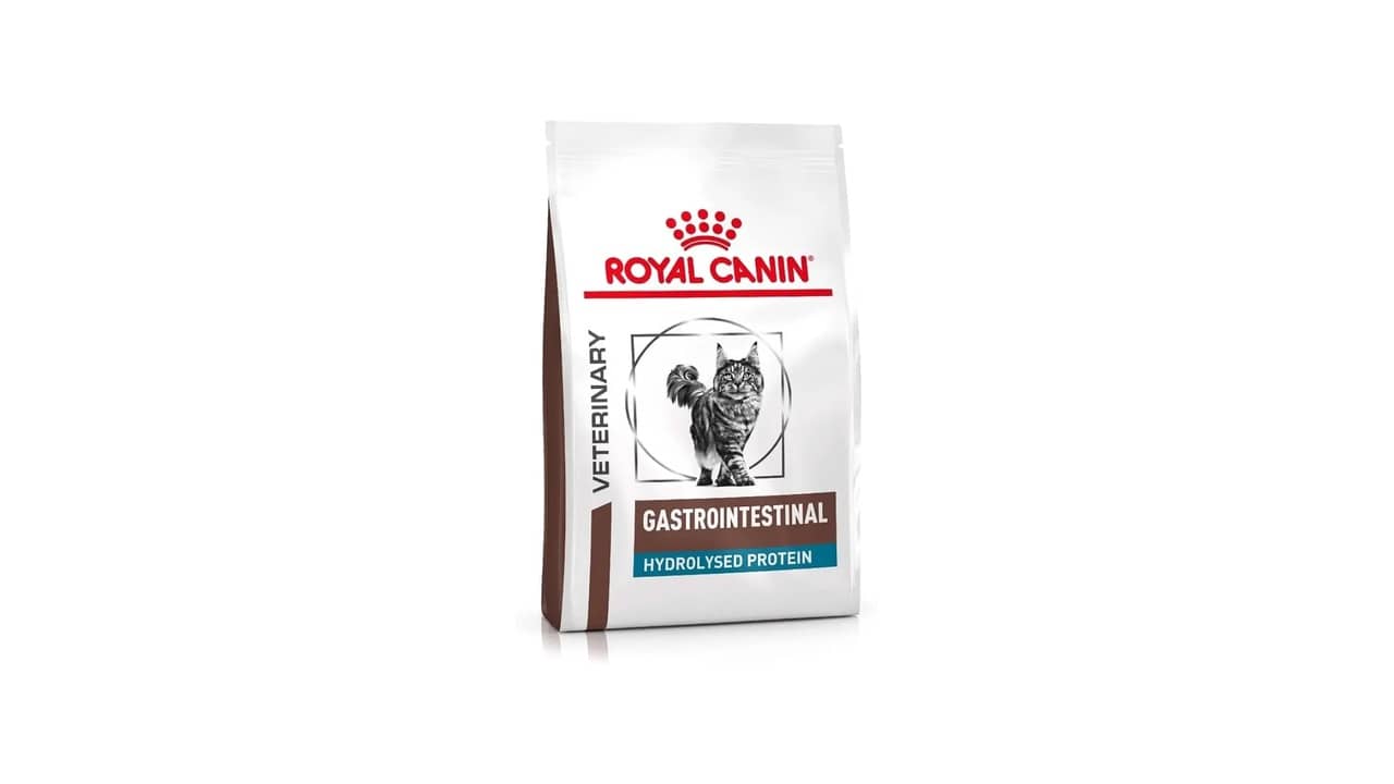 Ração para Gato Gastrointestinal: As 10 Melhores Opções do Mercado
