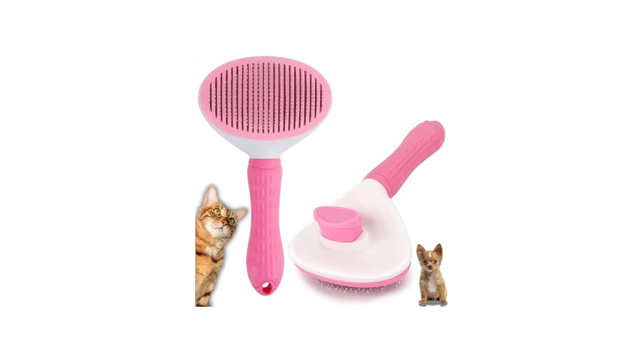 Rasqueadeira para Gatos: As 10 Melhores Opções de Qualidade