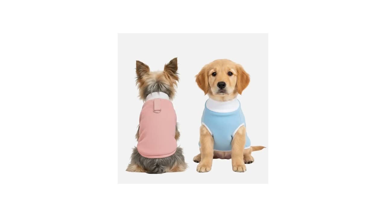 Roupa de Inverno para Cachorro: As 10 Melhores Opções de Agasalho