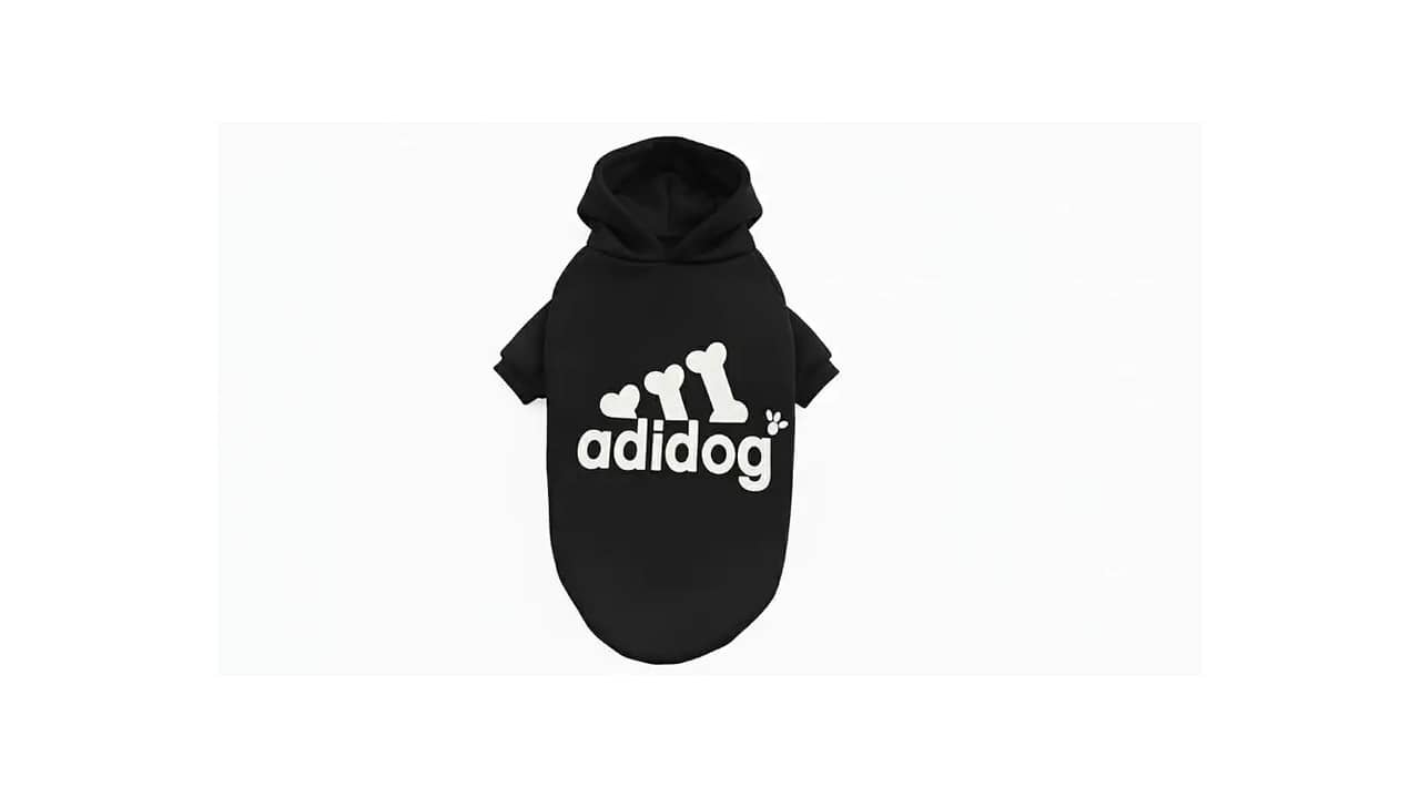 Roupa de Moletom para Cachorro: As 10 Melhores Opções de Inverno