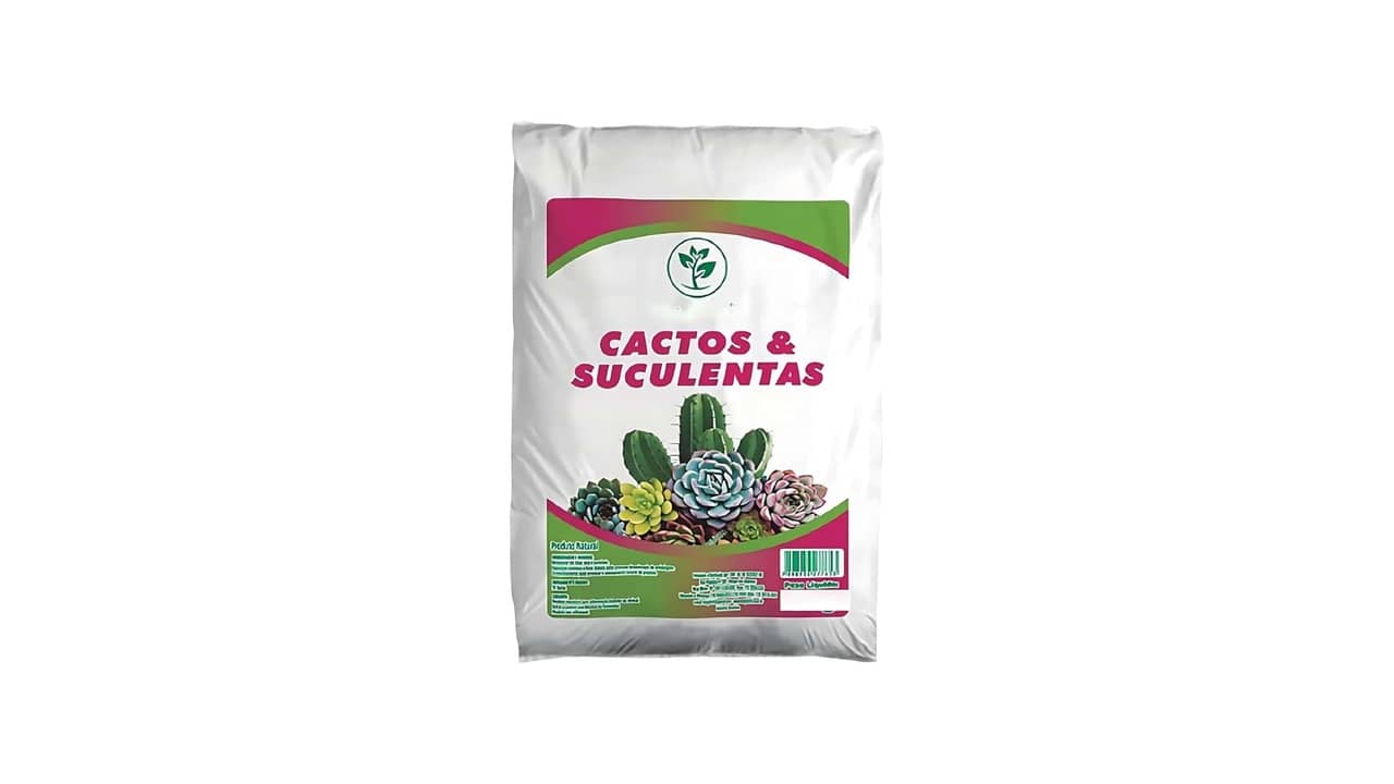 Terra para Suculentas e Cactos: As 10 Melhores Opções para Cultivo