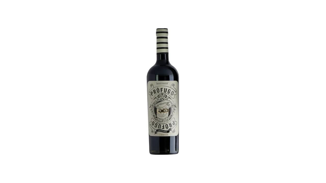 Vinho Argentino Tinto Seco: As 10 Melhores Opções para Encontros Especiais