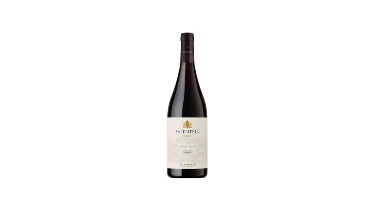 Vinho Pinot Noir Argentino e Francês: As 10 Melhores Opções